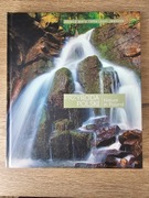 Cztery pory roku - Przyroda Polski