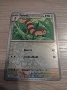 Pokemon tcg: furret 