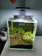 Akwarium shrimp set day and night 20L