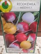 Rzodkiewka mieszanka 