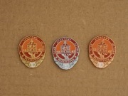 Odznaka klubowa - Hetman Włoszczowa (komplet) 