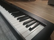 Pianino Casio CDP-S350