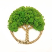 Drzewko Szczęścia Chrobotek, żywy obraz, handmade, dekoracja na ścianę 30