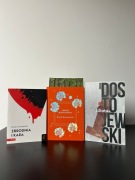 Fiodor Dostojewski Zbrodnia i kara Idiota Bracia Karamazow zestaw książek