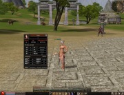 Konto mt2009 Szaman Healer 66 lvl + EQ