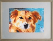 Akwarela w ramce. Pies. Wymiary 40x30 cm, cena 150 zł.