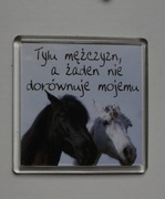 Kup 3 rzeczy zapłać za 2, magnes lodówka konie prezent zwierzęta 