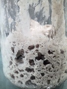 2,5 zł za 100g zakwasu na chleb z mąki żytniej 