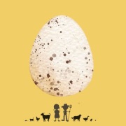 JAJKO INDYKA konsumpcyjne ** Wieśniaki z wyboru **