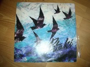 Ptaki-wśród ptaków.   NM