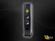Davis Acoustics Vinci Signature -franc. kolumny głośnikowe 