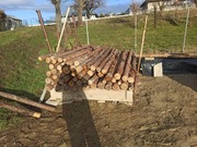 Stemple budowlane 60 sztuk