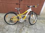 Rower Specialized 26"