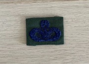 Naszywka - USAF - Master Force Protection Badge (OD Subdued)
