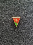 Lublinianka Lublin odznaka woj. lubelskie (3)