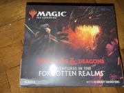 Magic the Gathering - Adventures in Forgotten Realns