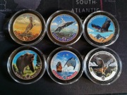 Zestaw srebrnych monet kolorowych z serii World Wild Life - unikat