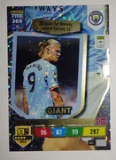 Karta Erling Haaland Giant