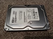 WD CAVIAR 250GB DYSK 3.5'' WD2500AAJS