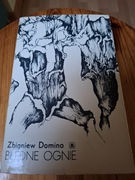 Książka Błędne  Ognie 