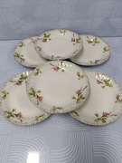 Talerze deserowe Chodzież 