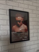 Vkie Barbara Dżungla plakat obraz cd album