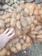 Ziemniaki 15 kg Denar najlepsze obiadowe naturalne