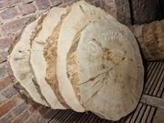 Czeczota Topoli 73/65/8,5 cm Blat Plaster Drewno Stolik Żywica DIY Suchy