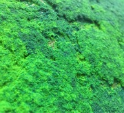 FOX DEKORATOR MECH DEKORACYJNY 3,5 M2