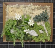 Żywy obraz z chrobotkiem dekoracja do salonu