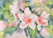 Akwarela 24x32 - "Azalia"