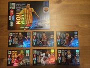 Karty Limited Edition Panini 