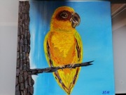 Obraz Papuga 30x30cm