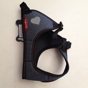 Champion Szelki  40 komfort