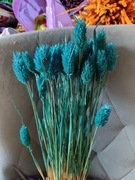 Mozga kanar naturalna suszona trawa susz turkus ciemny morski 