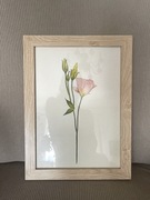 Obraz z delikatnym pastelowym kwiatem