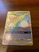 karta pokemon go raichu and alolan raichu