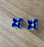 Kolczyki na wyjątkową okazję