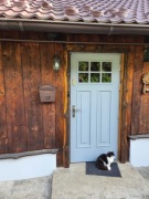 Drzwi ANGIELSKIE z szybą + szprosy 