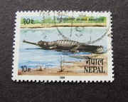 135b # Azja Nepal - dzikie zwierzęta