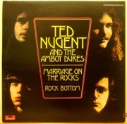 Ted Nugent & The Amboy Dukes  – 2 Lp  Polydor - UK  EX+