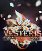 Vesteris S2 PROMOCJA CHWILOWA 