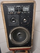 Kirksaeter monitor 130 kolumna nie tonsil Altus