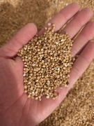 Kasza gryczana ekologiczną bez oprysków 