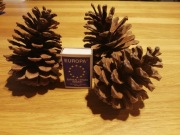 Szyszka duża naturalna do dekoracji