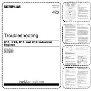 CAT C11 C13 C15 C18 Engine Service Manual Instrukcja serwisowa diagnostyka