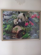 Puzle gotowe panda 63/49