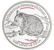 100 Dram Jeż Uszaty 