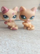 LPS zestaw 2 kotki kartuskie 2008