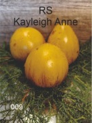 009_RS Kayleigh Anne. Pomidory kolekcjonerskie.